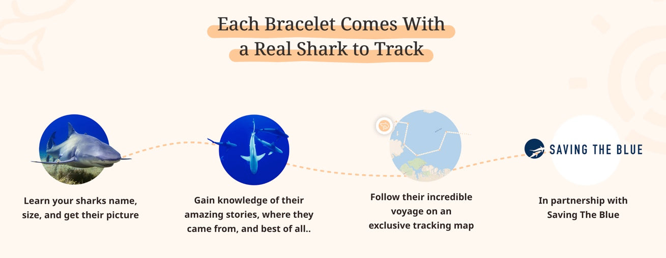 The Voyage Bracelet: Track a Shark