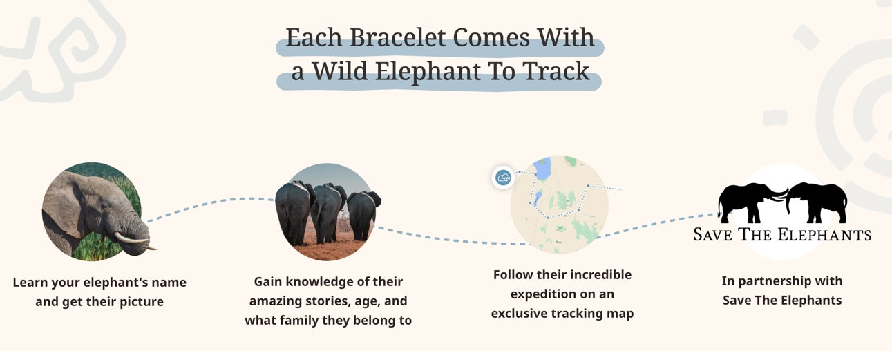 The Expedition Bracelet: Track an Elephant
