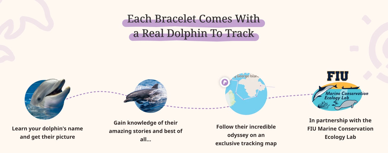 The Odyssey Bracelet: Track a Dolphin
