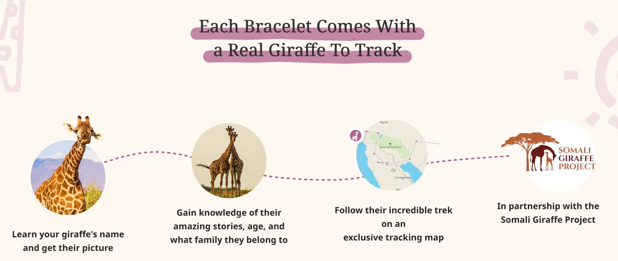 The Trek Bracelet: Track a Giraffe