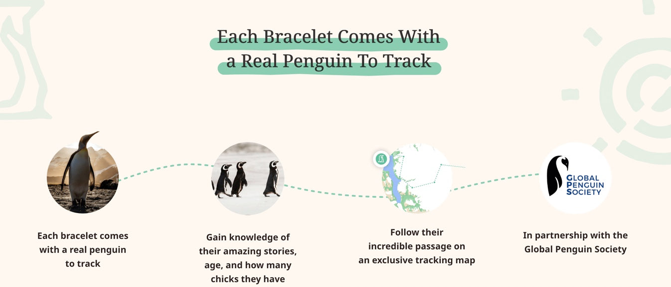 The Passage Bracelet: Track a Penguin