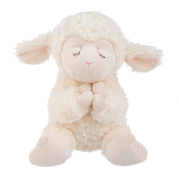 Bedtime Prayer Lamb