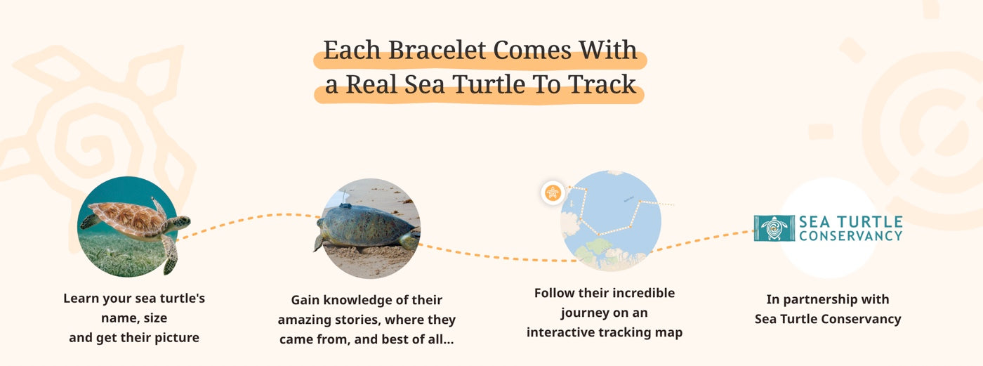 The Journey Bracelet: Track a Sea Turtle