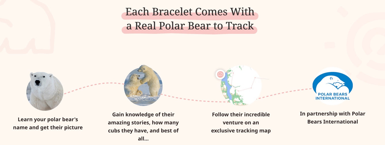 The Venture Bracelet: Track a Polar Bear