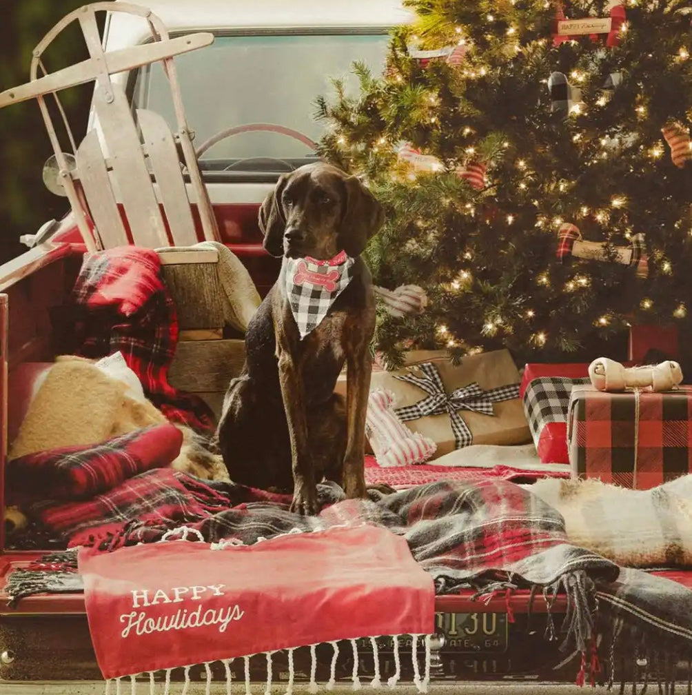 Christmas Dog Bandana & Toy Sets