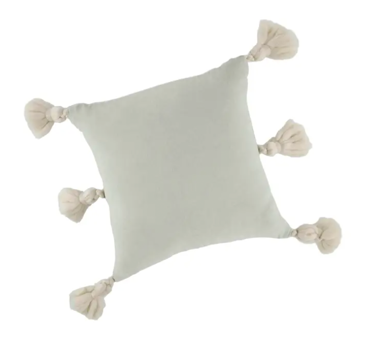 Tassel Velvet Pillows